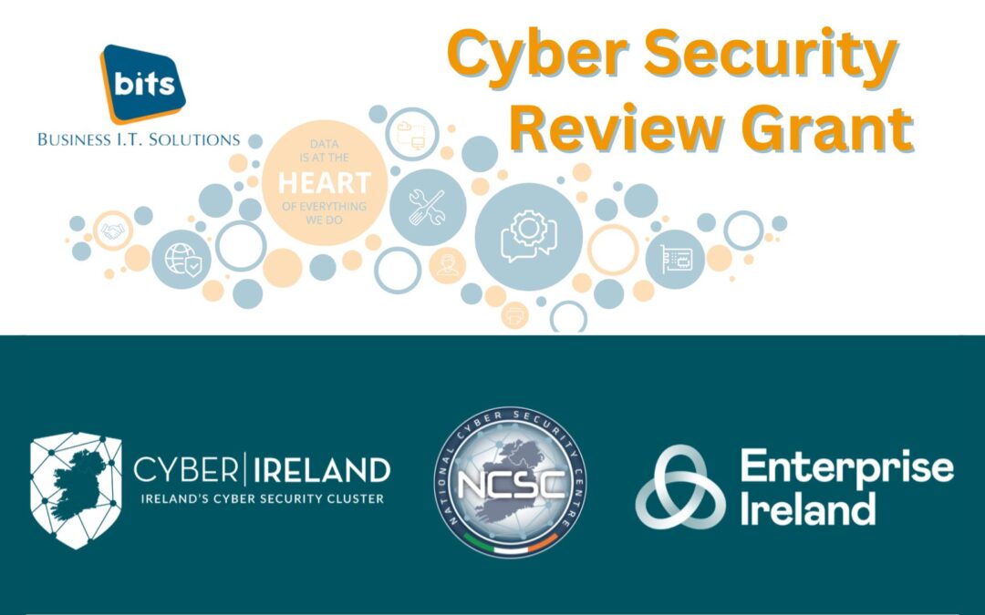 Cyber Security Review Grant