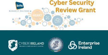 Cyber Security Review Grant